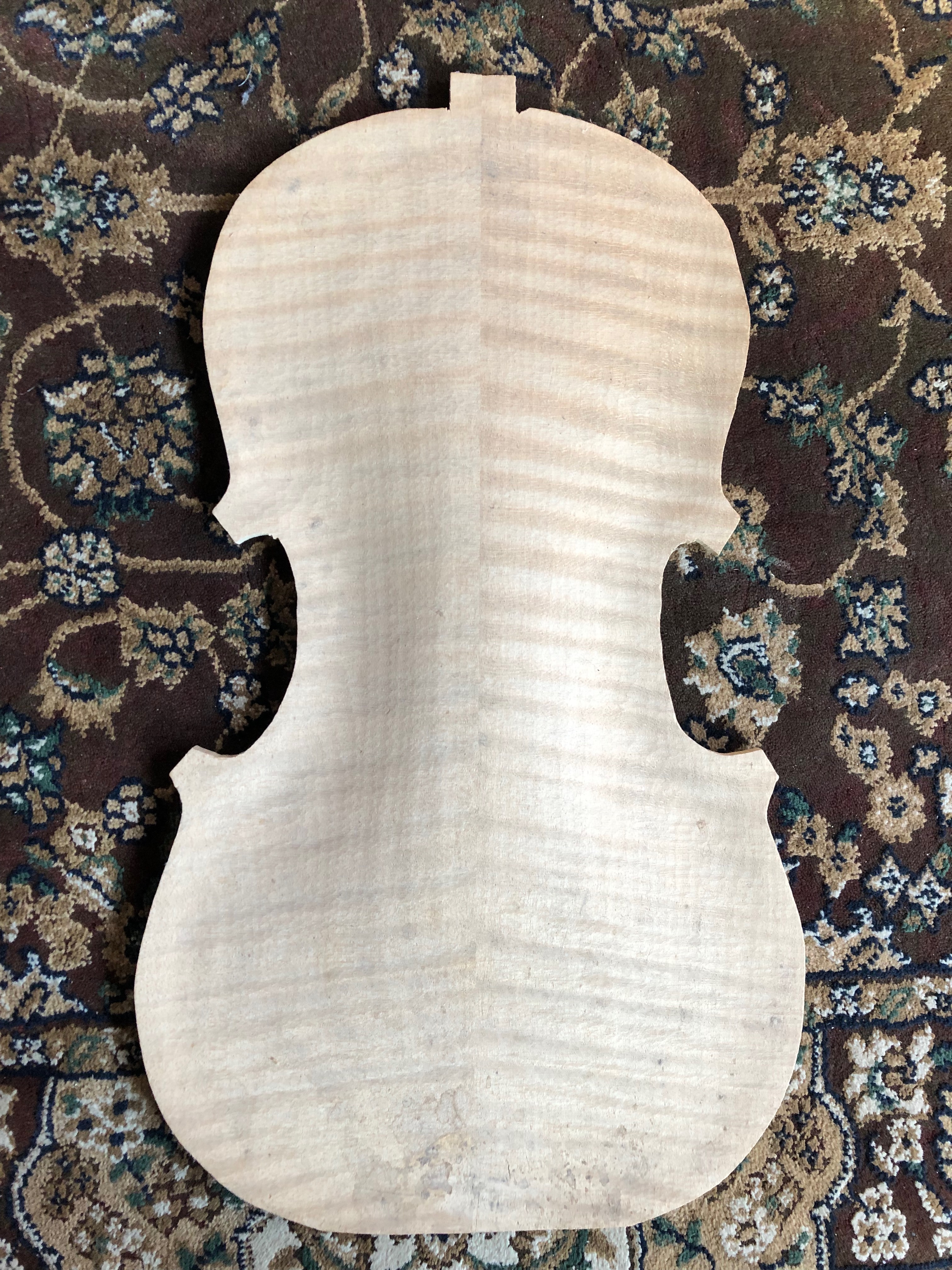 Violin Back
