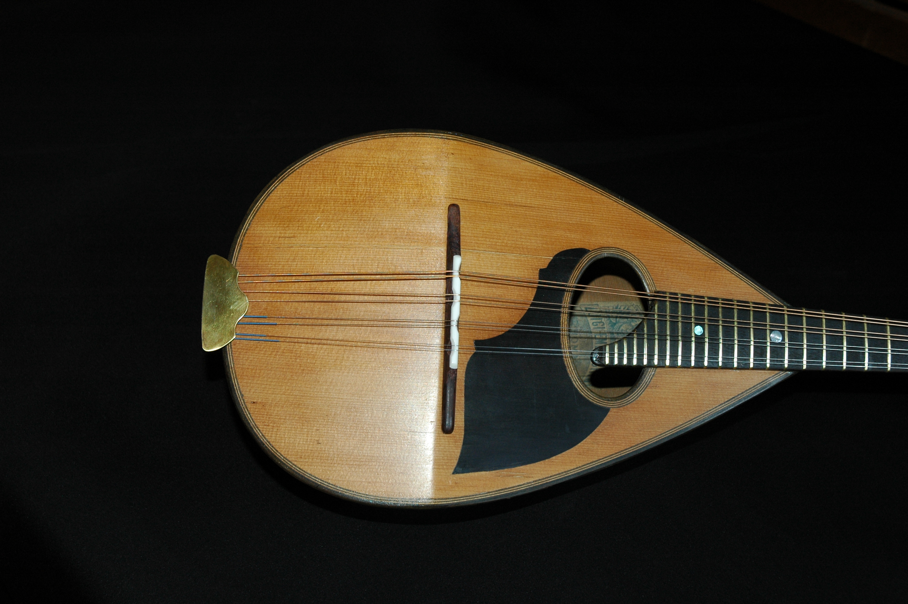 Embergher 1909 Mandolin